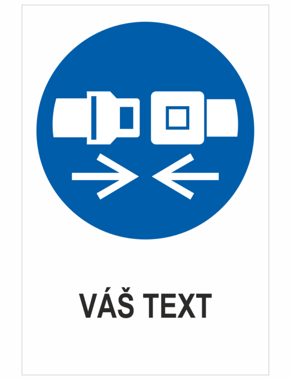 POUŽÍVANIE BEZPEČNOSTNÉHO PÁSU - Váš text