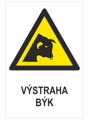 VÝSTRAHA - Býk